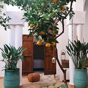 Nosade Venue Bed & Breakfast Marrakesh